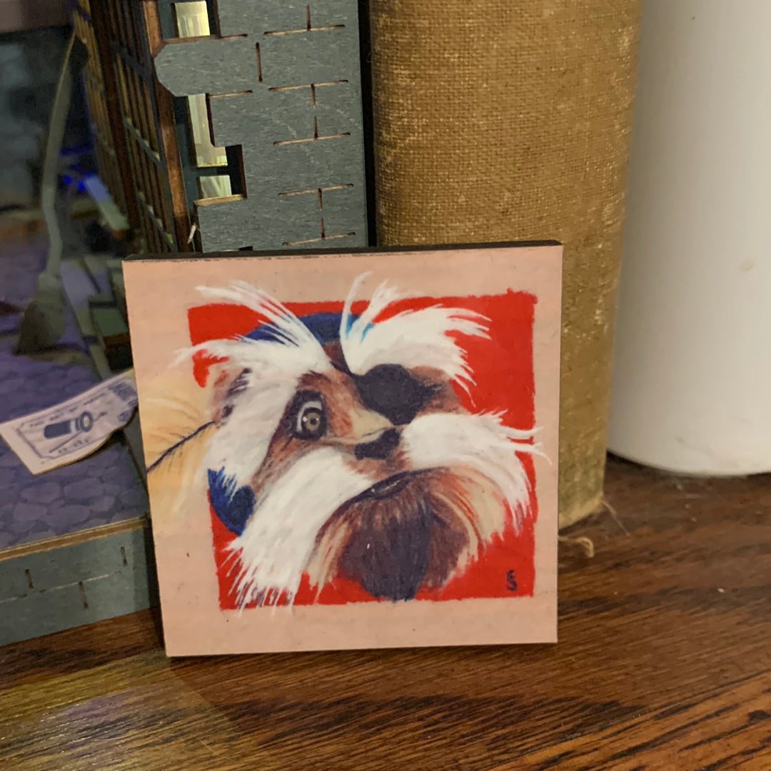 Labyrinth Sir Didymus