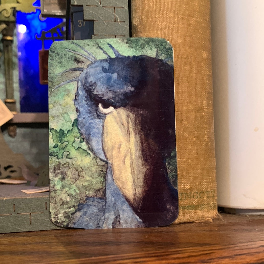 Shoebill Stork