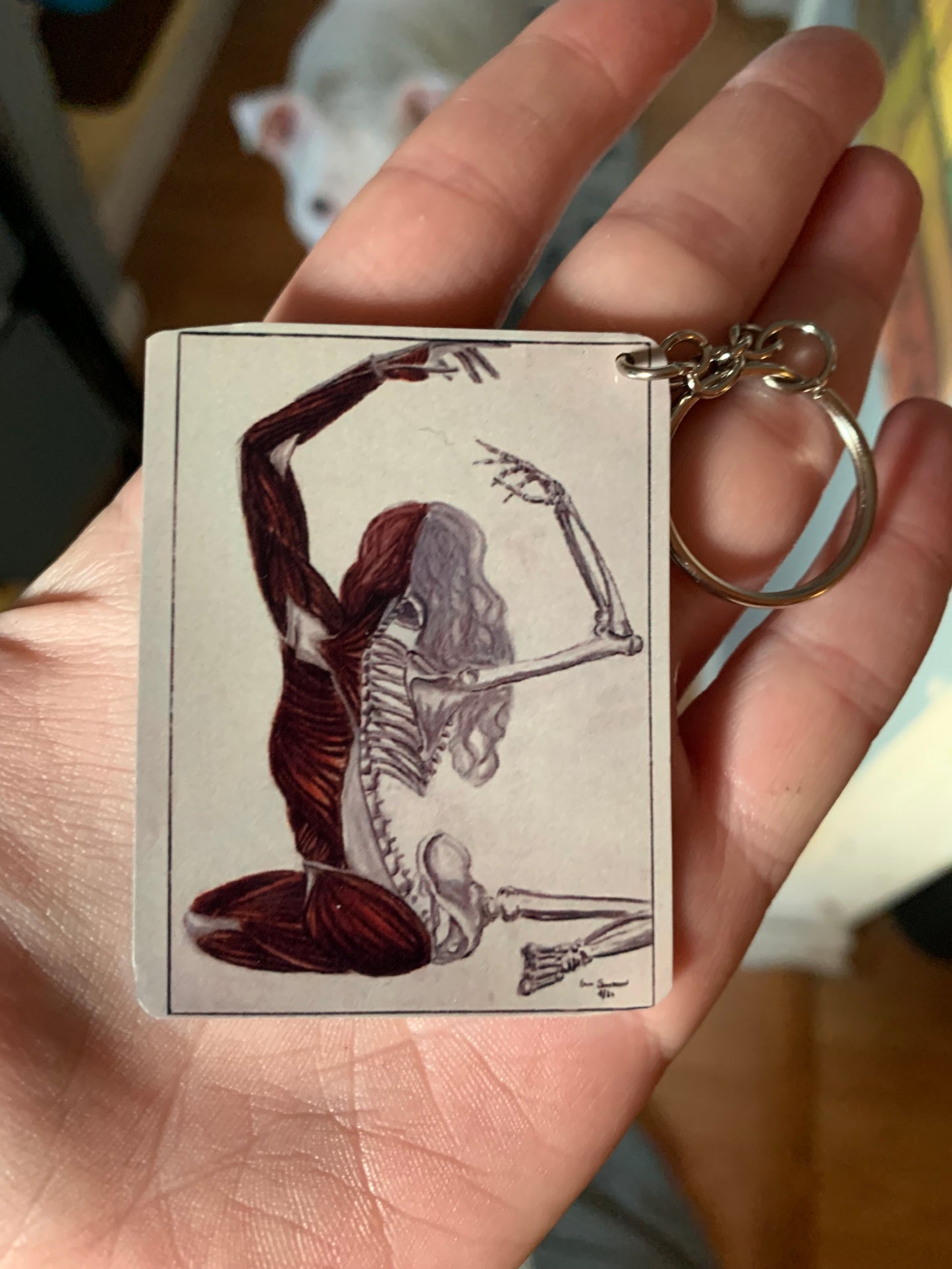 Half and Half Atropos Anatomy Art