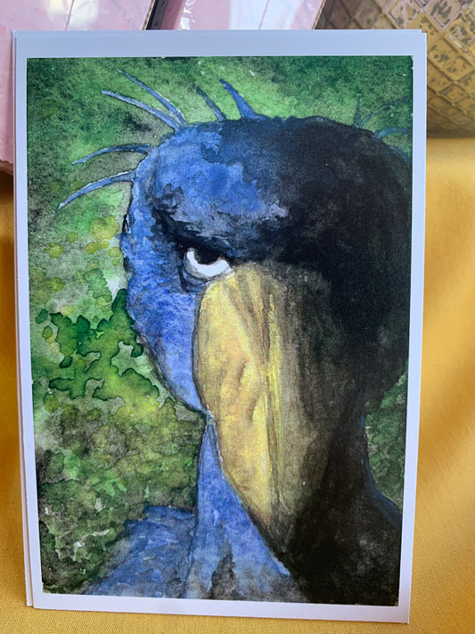 Shoebill Stork