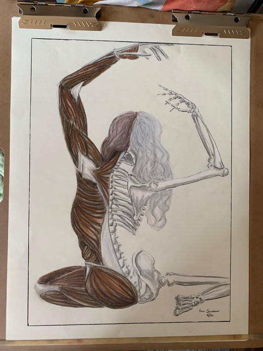 Half and Half Atropos Anatomy Art